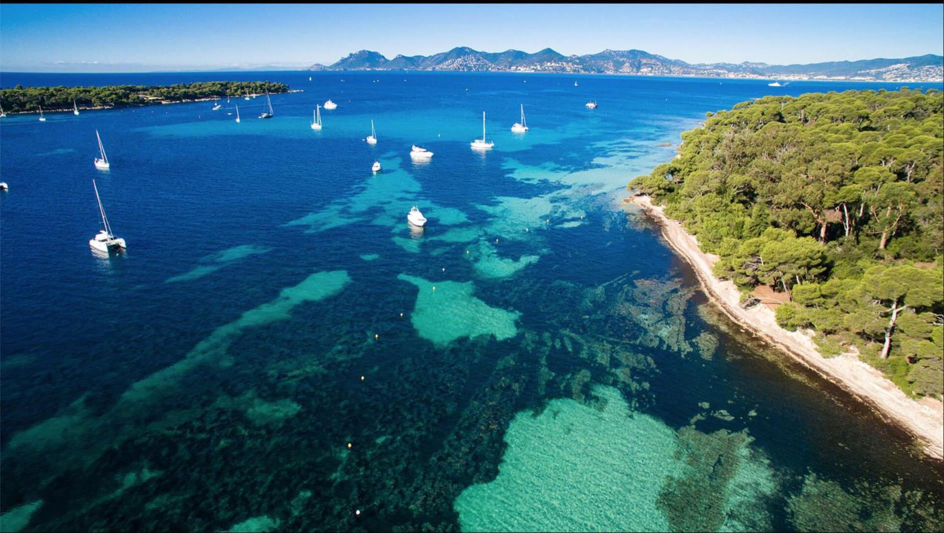 Le Bristol Apartment Cannes Ngoại thất bức ảnh